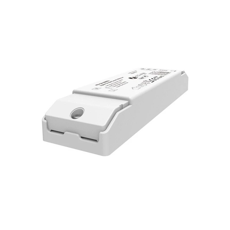 2CH CCT ZigBee 3.0 LED meghajtó állandó áram (150-450mA)